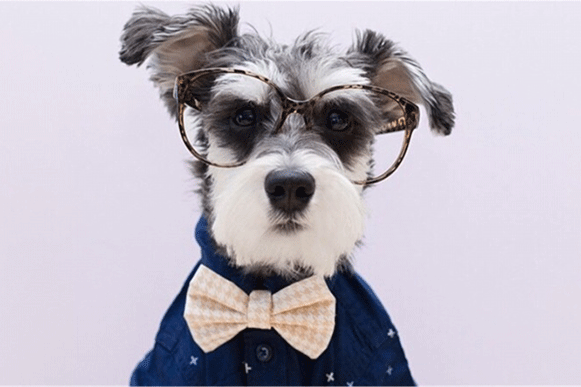1524734104920106.gif sadeuiop.gif